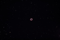 Tim / Photos / Ring Nebula