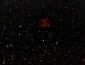 Tim / Photos / Unknown Nebula - Eastern Sky