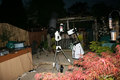 Tim / Photos / Kit (small)