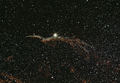 Tim / Photos / Western Veil Large