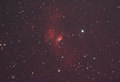 Tim / Photos / Untouched Bubble