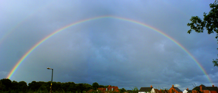 Tim / Photos / Rainbow Montage