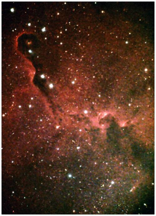 Tim / Photos / Elephants Trunk Nebula
