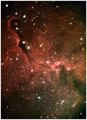 Tim / Photos / Elephants Trunk Nebula