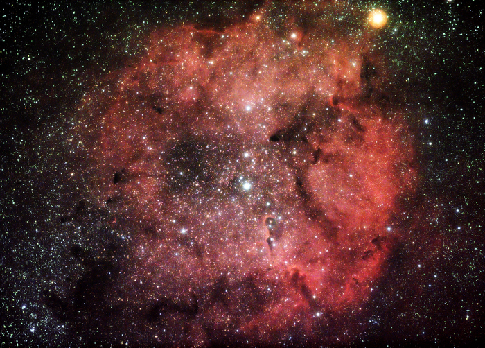 Tim / Photos / IC 1396 - Kelling 08