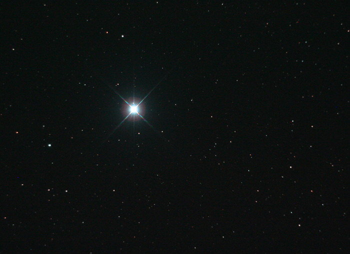 Tim / Photos / Vega