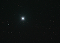 Tim / Photos / Vega