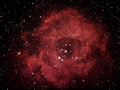 Tim / Photos / Rosette Nebula