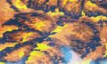 Tiny / Photos / Autumn 2008