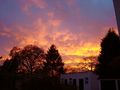 Tiny / Photos / nov 21 sunset 1