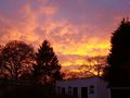 Tiny / Photos / sunset 20th nov 2
