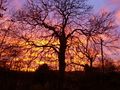Tiny / Photos / sunset 20th nov2008 4