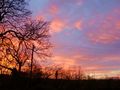 Tiny / Photos / sunset 20th nov2008 5