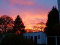 Tiny / Photos / sunset 20th nov 2008 6
