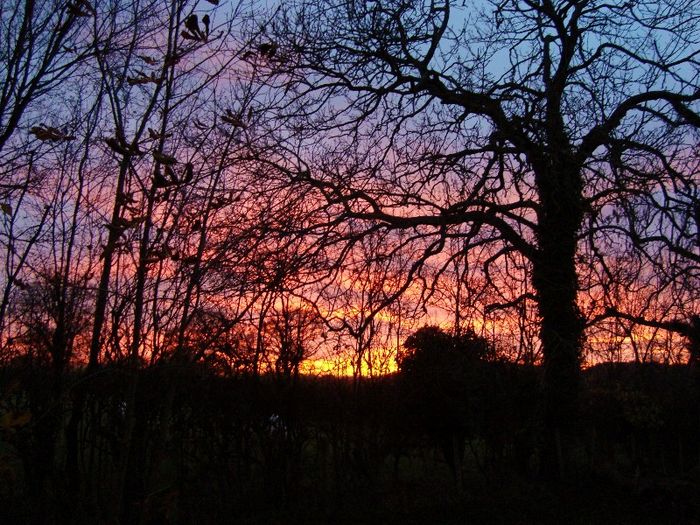 Tiny / Photos / sunser 20th nov 2008 7