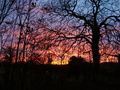 Tiny / Photo / sunser 20th nov 2008 7