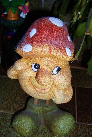 Tiny / Photos / Mr Mushroom man