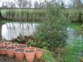 Tiny / Photos / Peartree lake