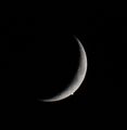 Trevor / Photo / Luna/Ven1Dec08