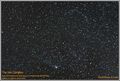 Vega / Photo / The Veil Complex in Cygnus (Halloween Night)