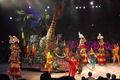 Viking / Photo / Lion King Show