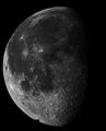 VincentMorris / Photos / 