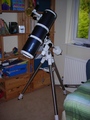 Wedge / Photos / My New Baby!