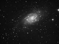 Yfronto / Photo / ngc2403-l