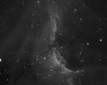 Yfronto / Photos / pelican