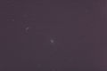 ant / Photos / M81 2min Skywatcher LPR