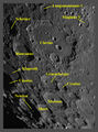 ant / Photo / Clavius_names