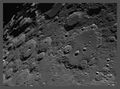 ant / Photo / Clavius and friends