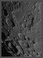 ant / Photo / clavius and Friends2