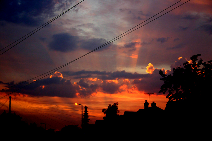 ant / Photos / Sunset
