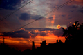 ant / Photos / Sunset