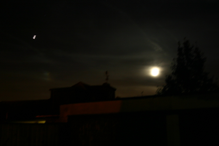 ant / Photos / A moon Dog