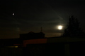 ant / Photos / A moon Dog
