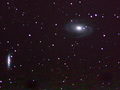 ant / Photos / M81-82