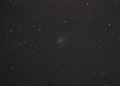 ant / Photos / M101