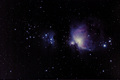 ant / Photo / M42