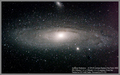 ant / Photo / M31