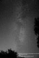 ant / Photo / Milky Way