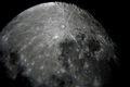 ant / Photo / Rogue_leader_moon2