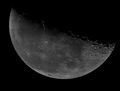 ant / Photo / The Moon Last Quarter