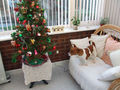 barkis / Photo / PipTree