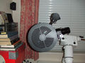 barkis / Photos / MaskM_N