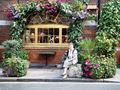 barkis / Photos / Flowers