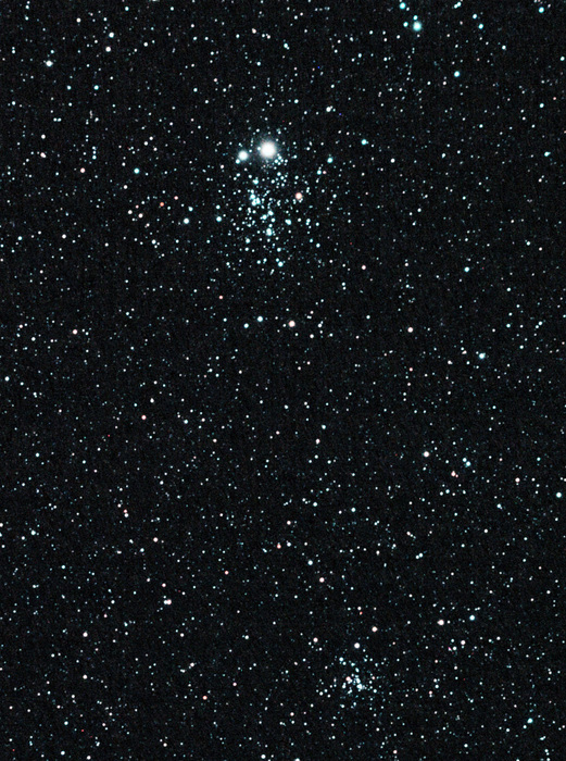 blinky / Photos / owl cluster