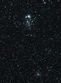 blinky / Photo / owl cluster