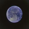 cygnusx1 / Photos / Moon_crop